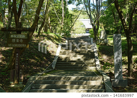 前往根五郎寺的路 前往根五郎寺的路 141683997