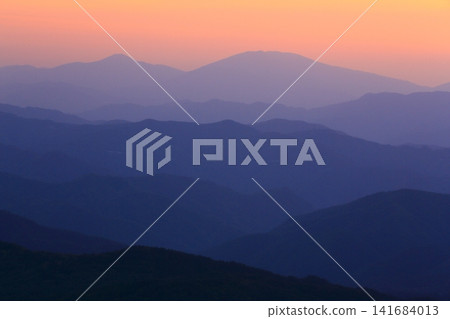 穆羅內山上的山地杜鵑花正值盛開。 141684013