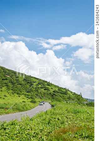 一條令人神清氣爽的夏季公路，穿過高地 141684243