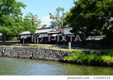 松江城堡在夏天 141684559