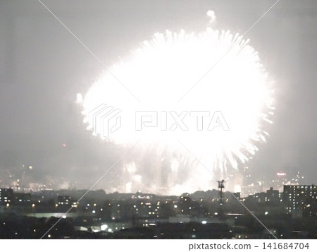 The 42nd Ichikawa Citizens' Summer Fireworks Festival The 42nd Ichikawa Citizens' Summer Fireworks Festival 141684704