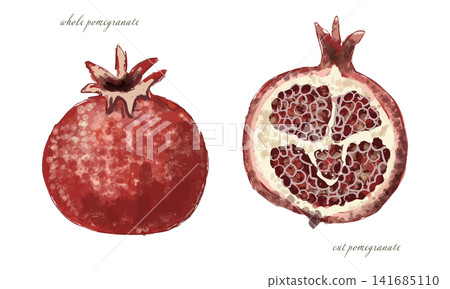 Pomegranate watercolor set (whole and cut) Pomegranate watercolor set (whole and cut) 141685110