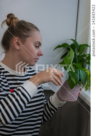 Young woman watering spraying indoor houseplant near window Young woman watering spraying indoor houseplant near window 141685422