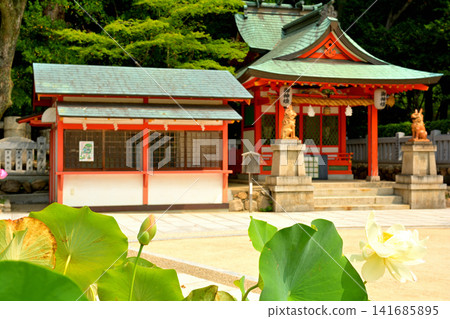 Kobe Ikuta Shrine Kobe Ikuta Shrine 141685895