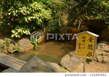 神戶 - 生田神社、生田森林 神戶 - 生田神社、生田森林 141685901