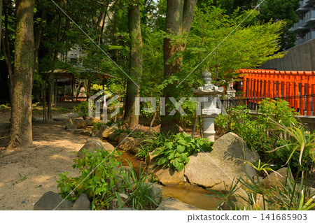 Kobe - Ikuta Shrine, Ikuta Forest Kobe - Ikuta Shrine, Ikuta Forest 141685903