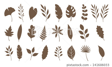 Brown Botanical Leaf Collection with Tropical and Forest Foliage Vector Illustration Brown Botanical Leaf Collection with Tropical and Forest Foliage Vector Illustration 141686033