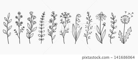 Hand Drawn Wildflower Botanical Plants Line Art Bundle Vector Illustration Hand Drawn Wildflower Botanical Plants Line Art Bundle Vector Illustration 141686064