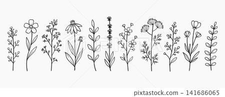 Hand Drawn Wildflower Botanical Plants Line Art Collection Vector Illustration Hand Drawn Wildflower Botanical Plants Line Art Collection Vector Illustration 141686065