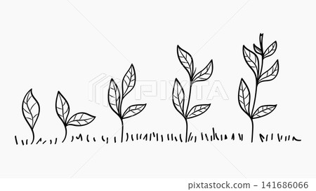 Hand Drawn Growing Plant Process Line Doodle Vector Illustration Hand Drawn Growing Plant Process Line Doodle Vector Illustration 141686066