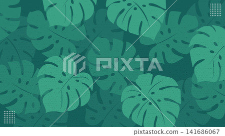 Green Monstera Leaf Tropical Nature Background Vector Illustration Green Monstera Leaf Tropical Nature Background Vector Illustration 141686067