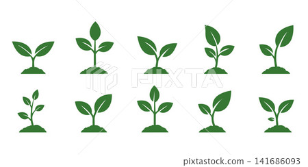 Green Seedling Plant Growth Icon Set Vector Illustration Green Seedling Plant Growth Icon Set Vector Illustration 141686093