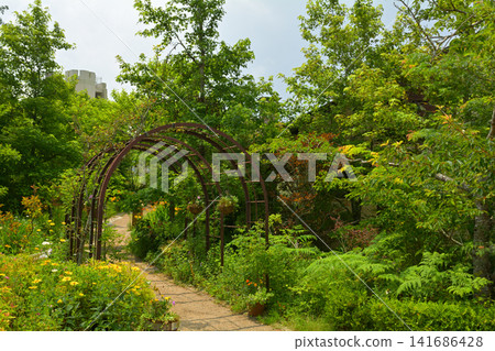 Kobe and Mount Rokko Kobe and Mount Rokko 141686428