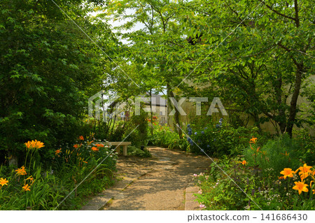 Kobe and Mount Rokko Kobe and Mount Rokko 141686430