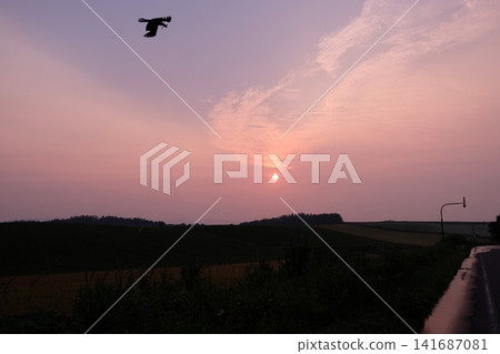 美麗的風景,飛鳥在夕陽的襯托下翱翔,山巒輪廓清晰可見。 美麗的風景,飛鳥在夕陽的襯托下翱翔,山巒輪廓清晰可見。 141687081
