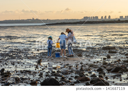 Asian Family Exploring Rocky Beach Tide Pool During Summer Vacation Asian Family Exploring Rocky Beach Tide Pool During Summer Vacation 141687119