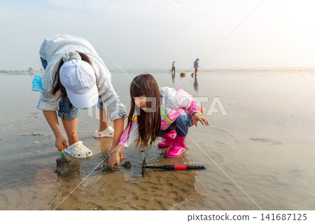 Two sisters working together to collect sea creatures on a muddy beach at low tide. Two sisters working together to collect sea creatures on a muddy beach at low tide. 141687125