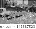 monochrome railroad tracks 141687523
