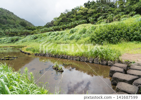 Fireflies on Hachijo Island Fireflies on Hachijo Island 141687599