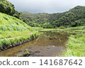 Fireflies on Hachijo Island 141687642