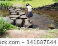 Fireflies on Hachijo Island 141687644
