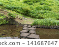 Fireflies on Hachijo Island 141687647