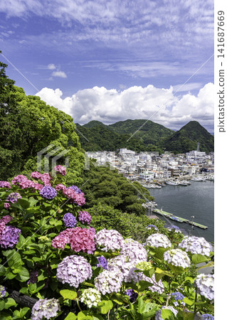 繡球花裝飾著這座港口小鎮。 繡球花裝飾著這座港口小鎮。 141687669