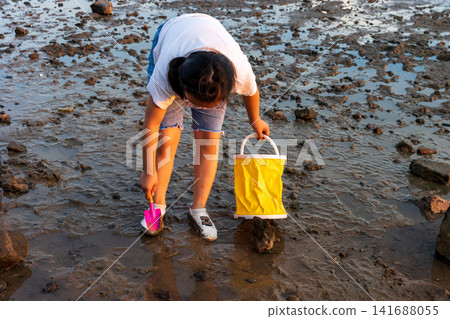 Focused young girl using a small shovel to dig and search for marine life on the muddy beach. Focused young girl using a small shovel to dig and search for marine life on the muddy beach. 141688055
