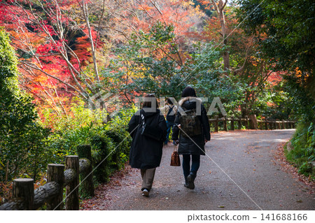 LGBTQ couple on Minoh waterfall path by autumn leaf, Osaka LGBTQ couple on Minoh waterfall path by autumn leaf, Osaka 141688166