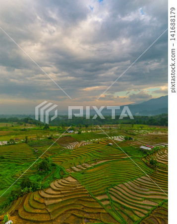 Aerial view of Sapa rice terraces at sunrise with golden light over green fields and misty mountain valleys Aerial view of Sapa rice terraces at sunrise with golden light over green fields and misty mountain valleys 141688179