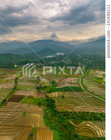 Aerial view of Sapa rice terraces at sunrise with golden light over green fields and misty mountain valleys Aerial view of Sapa rice terraces at sunrise with golden light over green fields and misty mountain valleys 141688211