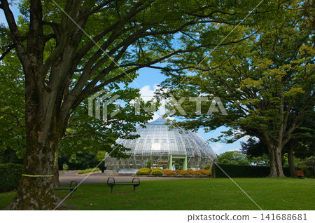Summer at Green Center Summer at Green Center 141688681