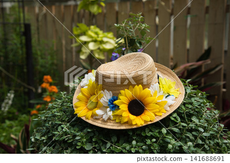 格林中心的夏天 格林中心的夏天 141688691