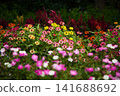 Summer at Green Center 141688692