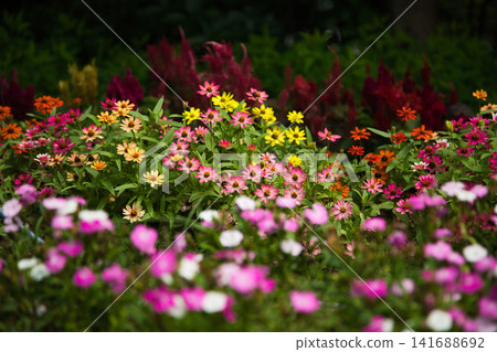 Summer at Green Center Summer at Green Center 141688692