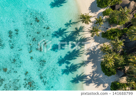 Breathtaking aerial view over turquoise lagoon with palm shadows on white sand tropical island paradise. Perfect summer vacation travel landscape resort paradise. Luxury getaway relax scenic Breathtaking aerial view over turquoise lagoon with palm shadows on white sand tropical island paradise. Perfect summer vacation travel landscape resort paradise. Luxury getaway relax scenic 141688799