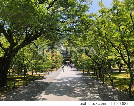Nanzenji in the summer Nanzenji in the summer 141688831