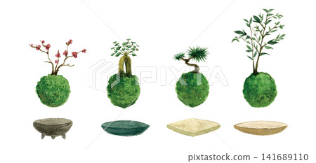 各種苔蘚球和盆栽植物，用水彩顏料作畫。 141689110