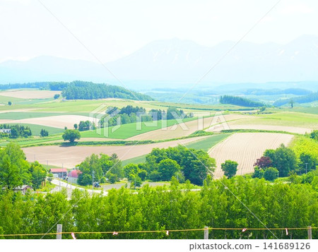 北海道美瑛初夏時節的壯麗景色 141689126