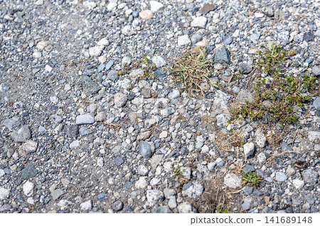 碎石路 地面停車場 花園圖片 碎石路 地面停車場 花園圖片 141689148