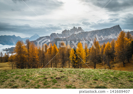Autumn larch forest and famous mountain peaks in the Dolomites Autumn larch forest and famous mountain peaks in the Dolomites 141689407
