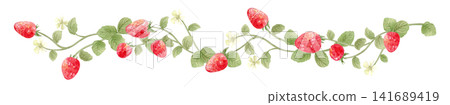 Hand-painted watercolor illustration frame of red wild strawberries Hand-painted watercolor illustration frame of red wild strawberries 141689419