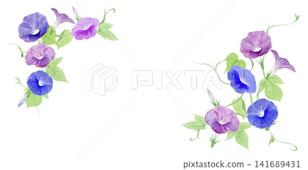 牽牛花框架材質畫水彩 牽牛花框架材質畫水彩 141689431