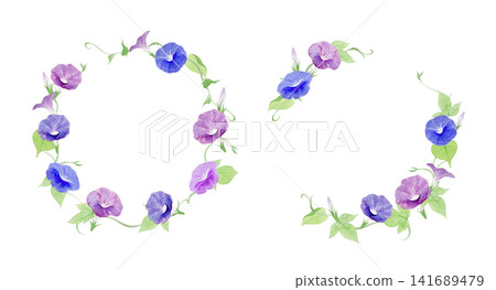 牽牛花水彩插畫邊框 牽牛花水彩插畫邊框 141689479