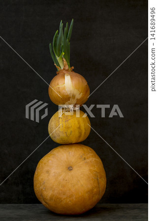 Still life with several pumpkins and sprouted onions 141689496