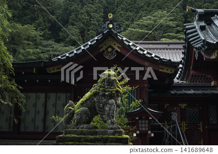 箱根神社,一座被樹木環繞的神社 箱根神社,一座被樹木環繞的神社 141689648