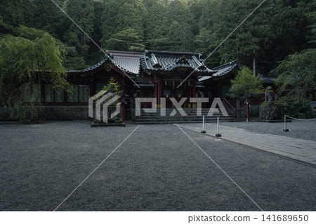 箱根神社,一座被樹木環繞的神社 箱根神社,一座被樹木環繞的神社 141689650