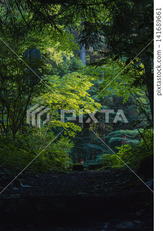 箱根神社,一座被樹木環繞的神社 箱根神社,一座被樹木環繞的神社 141689661