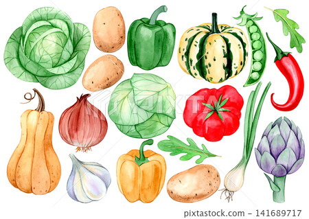 Watercolor cartoon illustration, set of vegetables. Farm harvest, drawing for children. Watercolor cartoon illustration, set of vegetables. Farm harvest, drawing for children. 141689717