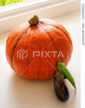 Red pumpkin and summer vegetables Red pumpkin and summer vegetables 141690012